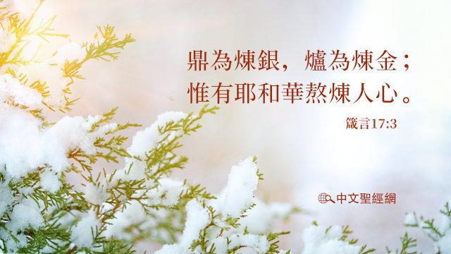 The crucible is for silver, and the furnace is for gold, and the Lord tests the heart